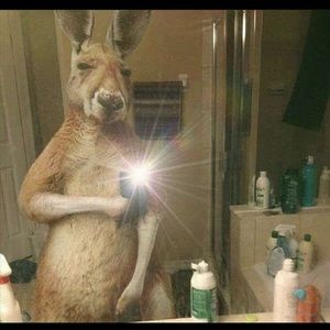 Meet your Posher, Will